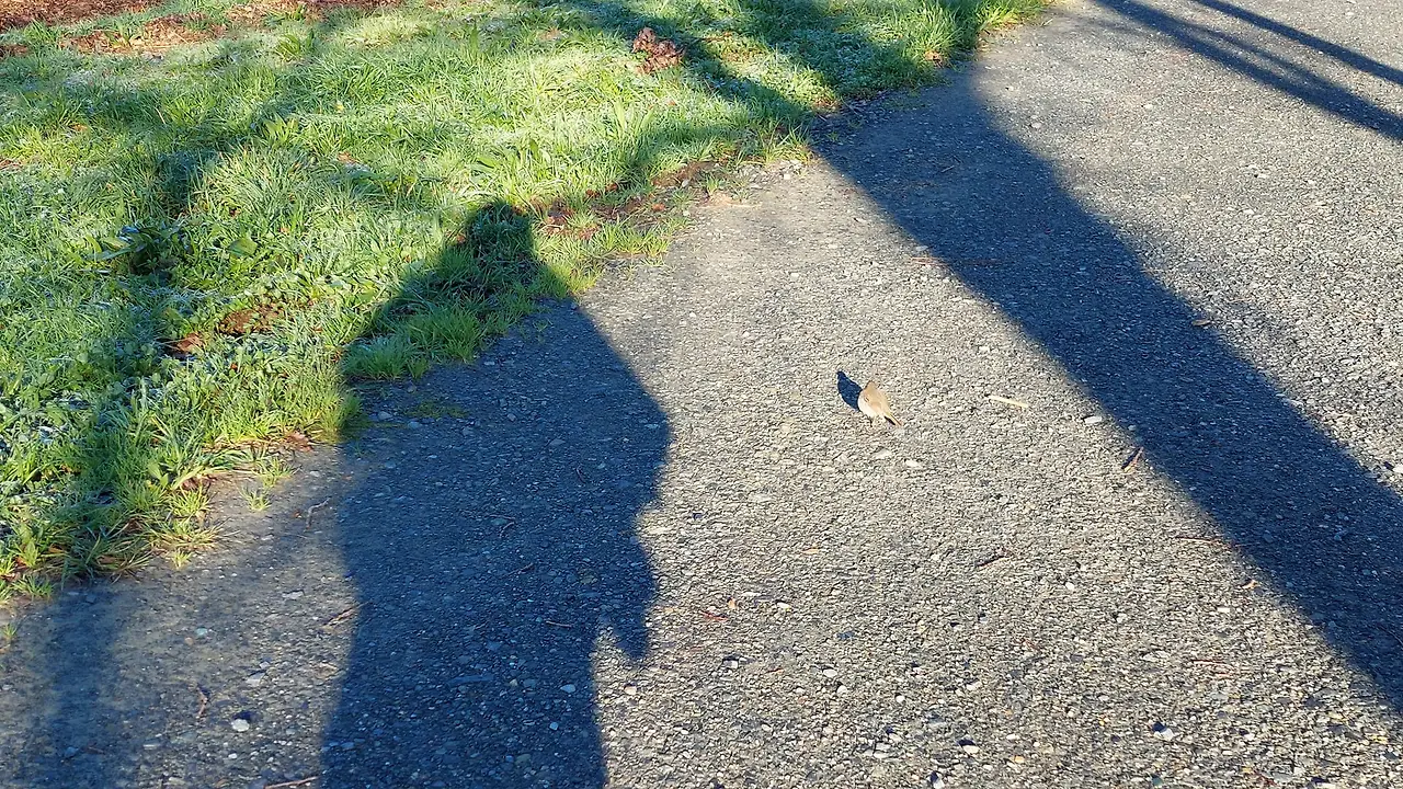 327605243_867461184307056_1150221704772236279_n.jpg?_nc_cat=107&ccb=1-7&_nc_sid=5614bc&_nc_ohc=7f48Zl2ka18AX8urps3&_nc_ht=scontent-ssn1-1.xx&oh=00_AfBwLWB1B3NrOpM78Y69f2SVYL4HzoOitnQwNWTcQrhKKg&oe=64F4940F