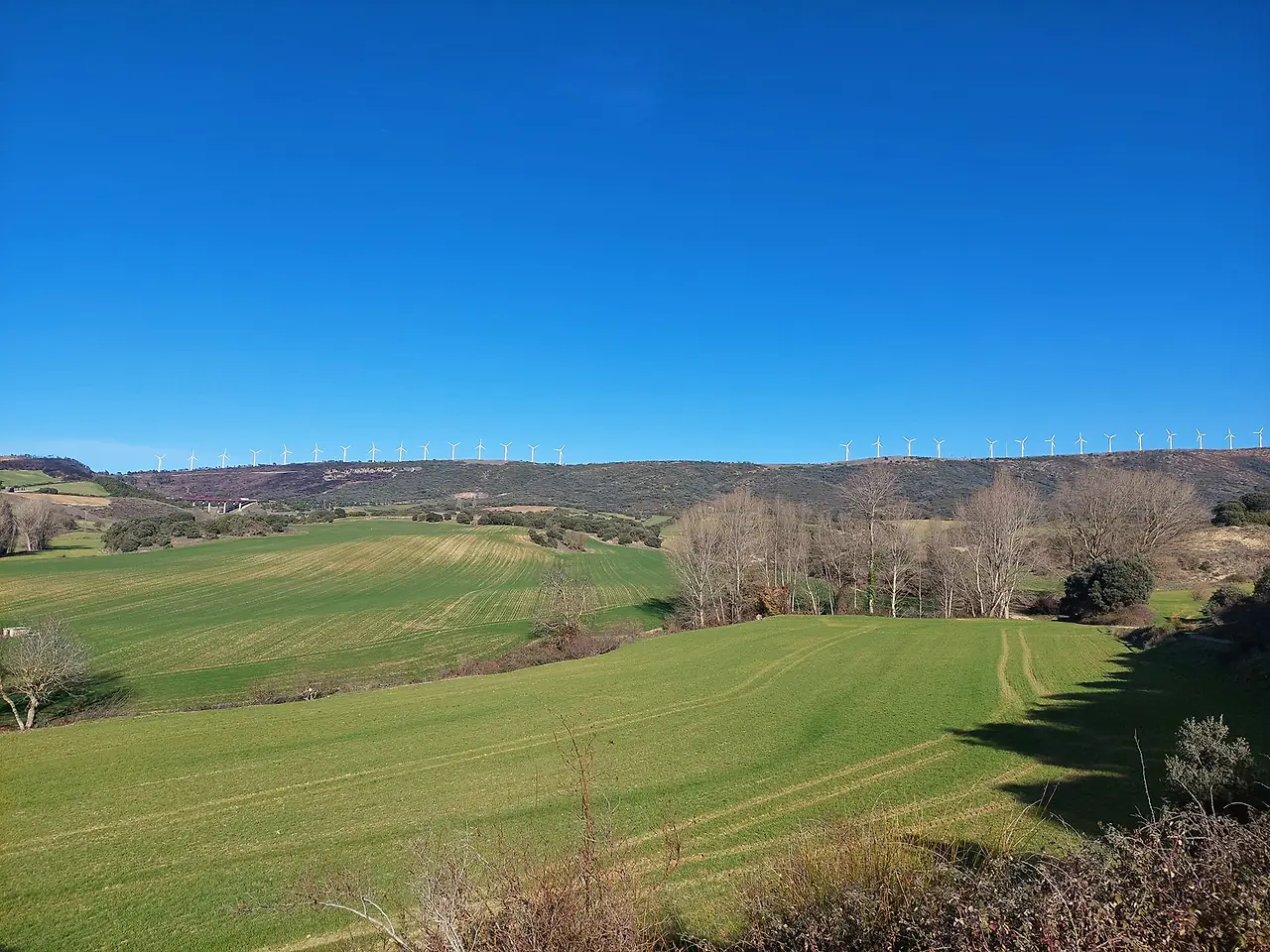 324232325_913816053141179_2809978511317633374_n.jpg?_nc_cat=111&ccb=1-7&_nc_sid=5614bc&_nc_ohc=6y4ia0dfLBQAX_AyuJC&_nc_ht=scontent-ssn1-1.xx&oh=00_AfCXz-VtIqauQym8wbMJqmAtddbLaWCFnipM3XS28-vXsw&oe=64F4B472