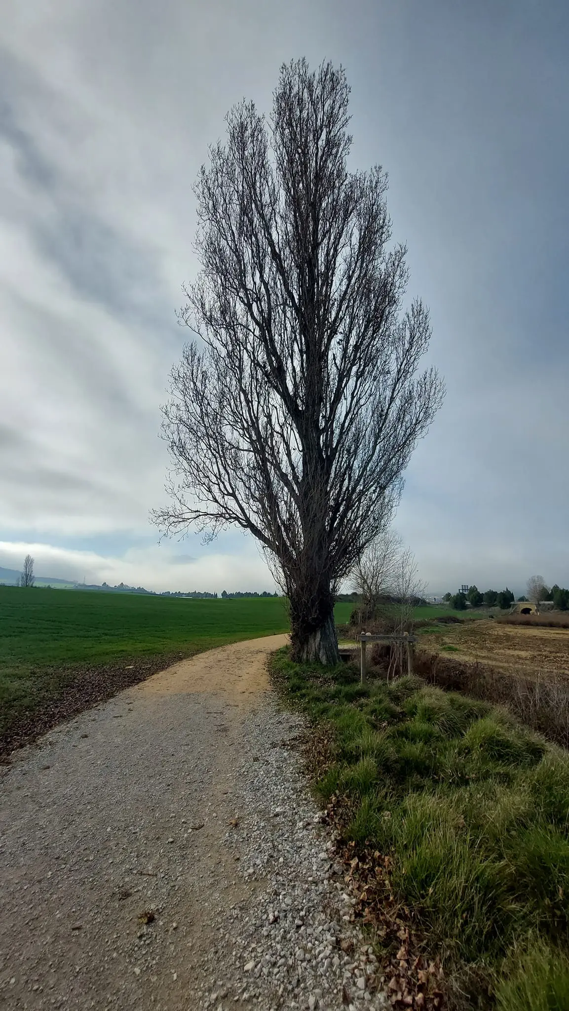 324588997_868701494462625_2276871357721463660_n.jpg?_nc_cat=102&ccb=1-7&_nc_sid=5614bc&_nc_ohc=ffyQIxQxveYAX_Q3WQX&_nc_ht=scontent-ssn1-1.xx&oh=00_AfBJFmtXgJzOQ_Qw5VlTtAeE4D8XY7ijTiSfXBsp5jNe0w&oe=64F513D3