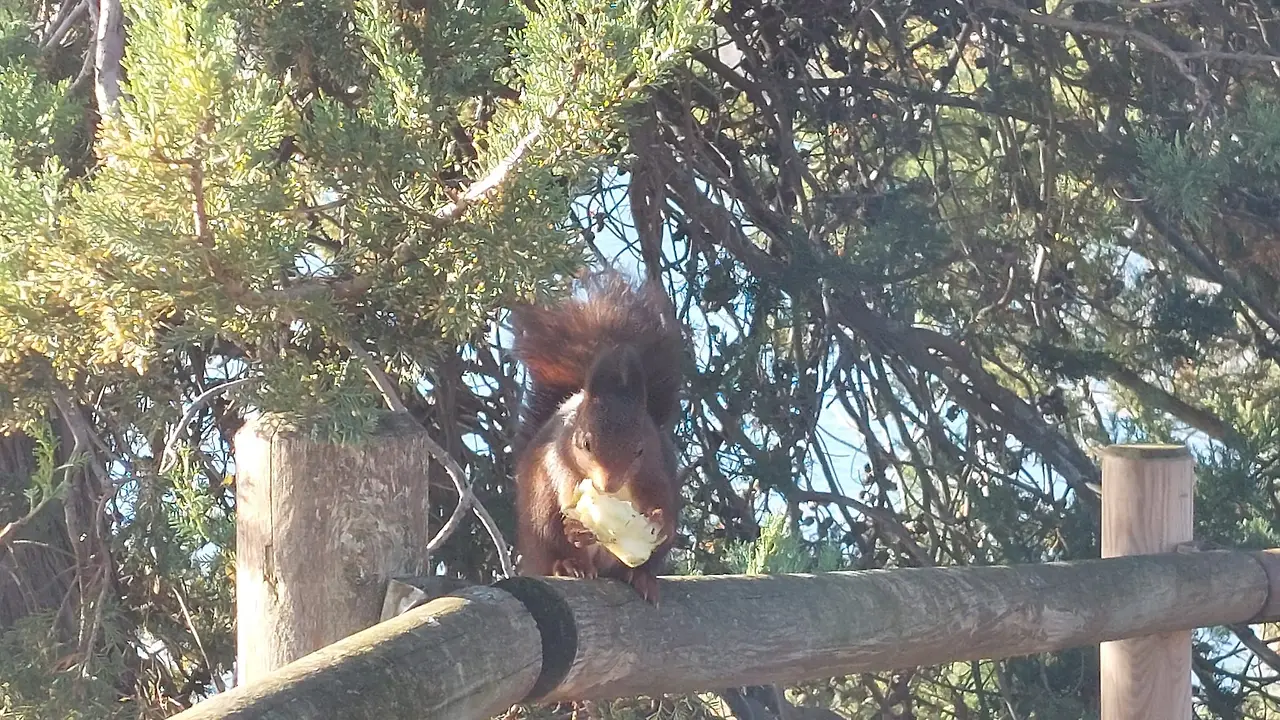 324856882_474920544611787_3721047773243029966_n.jpg?_nc_cat=103&ccb=1-7&_nc_sid=5614bc&_nc_ohc=6UjtZfCO4GoAX9YdHyG&_nc_ht=scontent-ssn1-1.xx&oh=00_AfAi3rQmWisMnAgrfJ1yU1NNA1sUoU80-bC6mK8eH_VkMg&oe=64F5DE36