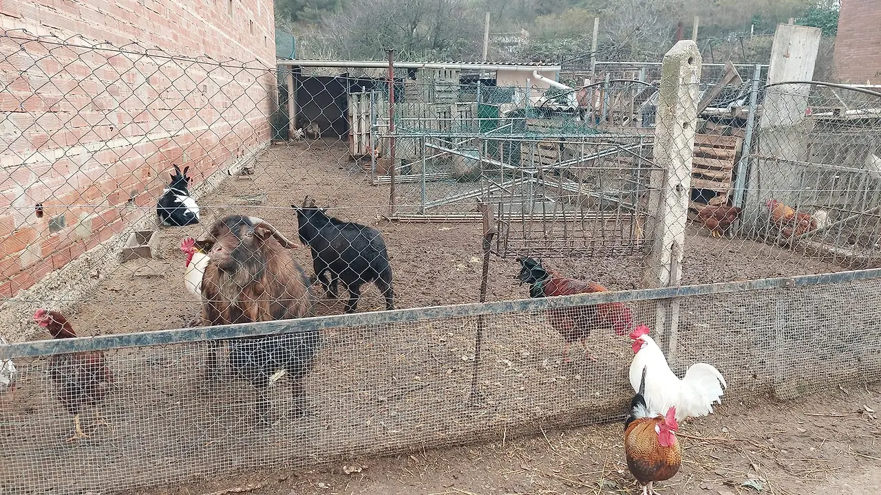 324628658_1349813239099610_5043157655105301452_n.jpg?_nc_cat=108&ccb=1-7&_nc_sid=5614bc&_nc_ohc=qTNlad-K654AX9cjFB_&_nc_ht=scontent-ssn1-1.xx&oh=00_AfB6WT7em_XjXPLIhwyahyQYvbSvdshg7FNRx-gmaSdeXw&oe=64F4501F