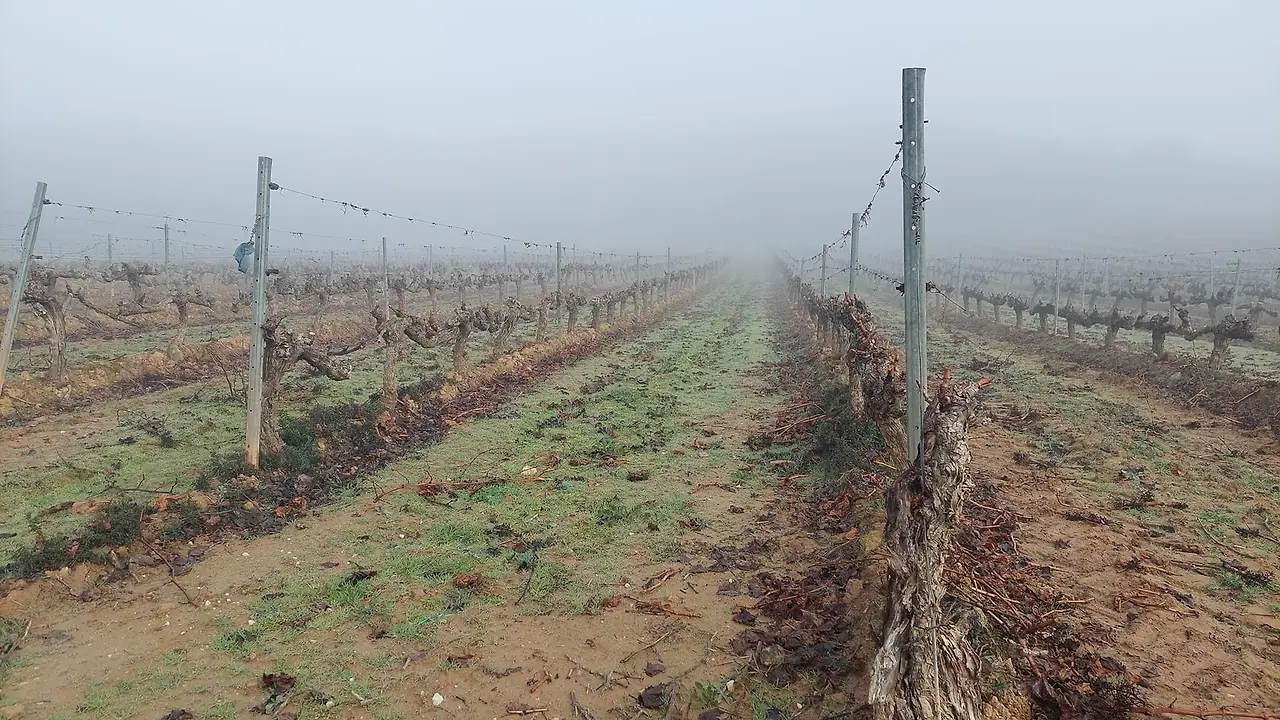 322385365_695930135514273_2036041859190551261_n.jpg?_nc_cat=103&ccb=1-7&_nc_sid=5614bc&_nc_ohc=XQ6COh5TzHIAX96MZbt&_nc_ht=scontent-ssn1-1.xx&oh=00_AfBiHB-kqqVPkCvtTQEkMh0ckHyvu2mnkYIacPbCUCLX-g&oe=64F49049