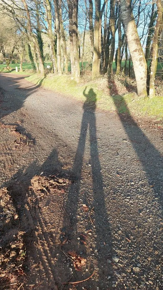 327775362_1250917675775402_7023472379807220773_n.jpg?stp=dst-jpg_p526x296&_nc_cat=110&ccb=1-7&_nc_sid=5614bc&_nc_ohc=sHfRmn-gsCMAX-LXqnJ&_nc_ht=scontent-ssn1-1.xx&oh=00_AfDA1I2ppLbsfa-mj9kTo0SaIQOLcMVB9OVSzt1X65Uvzw&oe=64F4C941