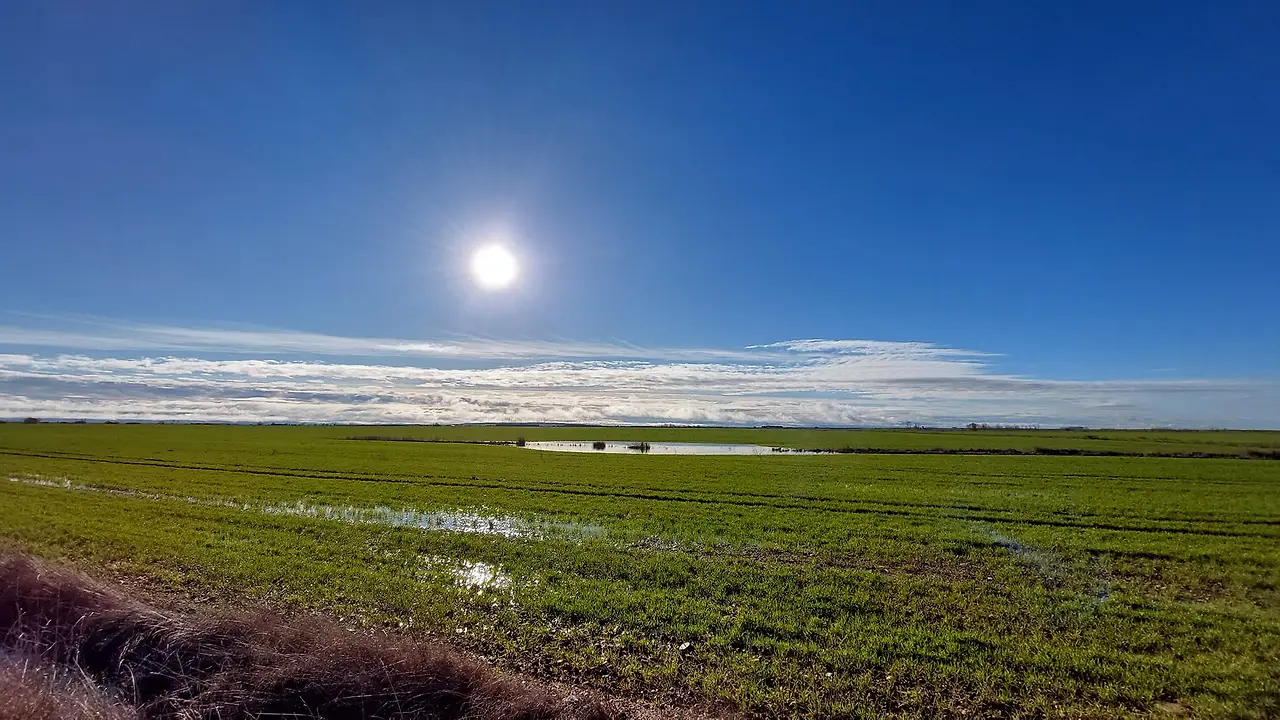 325586931_3381092192151621_1232534717156234659_n.jpg?_nc_cat=104&ccb=1-7&_nc_sid=5614bc&_nc_ohc=wLbj9qjkEXIAX_HUjMj&_nc_ht=scontent-ssn1-1.xx&oh=00_AfDXTqwRDNE-oC5VmSKIn0BmuHLaaSNepp28FNJDdoBHAw&oe=64F62D6C