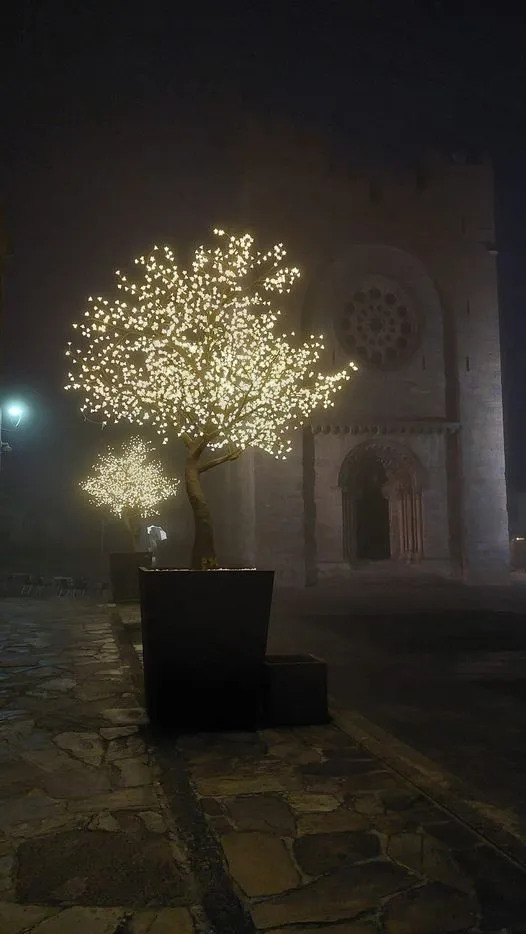 327267504_962839645121845_2093068409538293577_n.jpg?stp=dst-jpg_p526x296&_nc_cat=108&ccb=1-7&_nc_sid=5614bc&_nc_ohc=jMQmcSy3hR8AX8FMJNN&_nc_ht=scontent-ssn1-1.xx&oh=00_AfDKTFR8c-sb3qjzrM1tmdOtg5dDAFm_ABwhenDoUxEPsQ&oe=64F5AF17