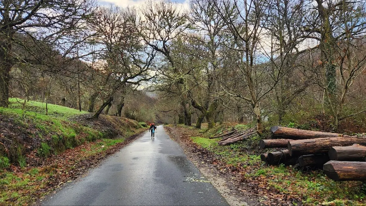 326989620_686019916586684_692097105169936063_n.jpg?_nc_cat=107&ccb=1-7&_nc_sid=5614bc&_nc_ohc=rtLEmuhMuk8AX-moZMI&_nc_ht=scontent-ssn1-1.xx&oh=00_AfDbue-BrbPyJOvmy8diLm2C4-74VF9733h0bt7EfGO4ew&oe=64F5F3D6