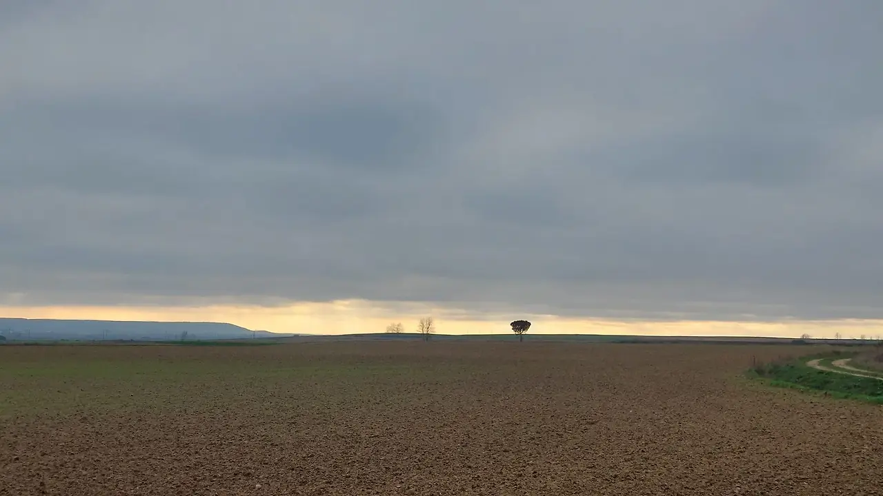 325512796_848978459689037_551219352269132610_n.jpg?_nc_cat=109&ccb=1-7&_nc_sid=5614bc&_nc_ohc=ujN7kby0y7wAX93PmR1&_nc_ht=scontent-ssn1-1.xx&oh=00_AfAu4lbyWW3wVrBftas1Upeo57RdY48GwQD3wzPLw6FLTQ&oe=64F59BA8