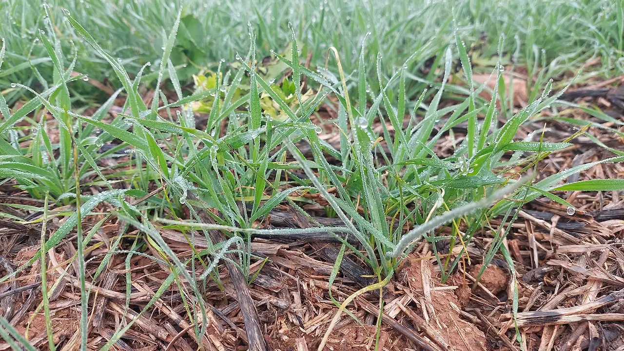 324515700_5596701967126068_3853418981800582075_n.jpg?_nc_cat=108&ccb=1-7&_nc_sid=5614bc&_nc_ohc=TMQDsOTupK4AX_JJY65&_nc_ht=scontent-ssn1-1.xx&oh=00_AfBCC24ig8gT7LjQz65g0Ne2pXYgZ2kq75JJEhx00rYMlQ&oe=64F522A5