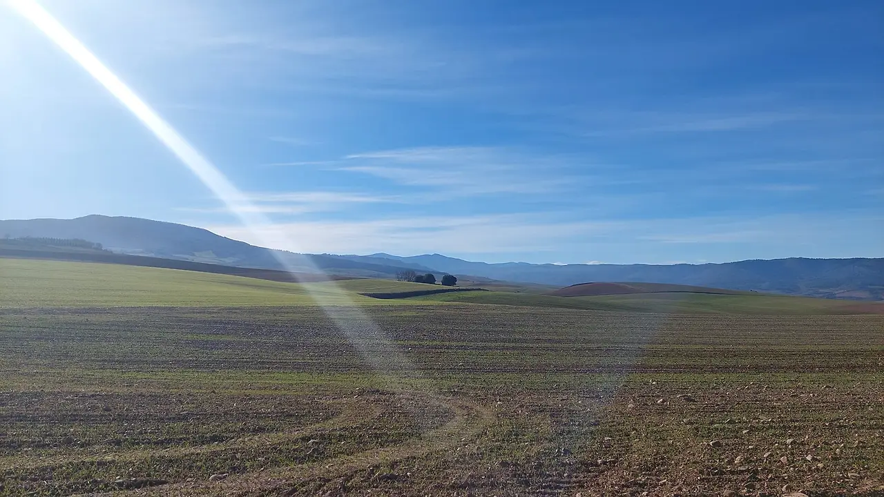 324428288_1547845915698419_7942911109080050674_n.jpg?_nc_cat=109&ccb=1-7&_nc_sid=5614bc&_nc_ohc=bttcEdJsTYUAX8FPRwr&_nc_ht=scontent-ssn1-1.xx&oh=00_AfBv_JzdNmuIh_jyWkq9xN6P3k49zdhktXelCD5TJe_bXQ&oe=64F4A6C1