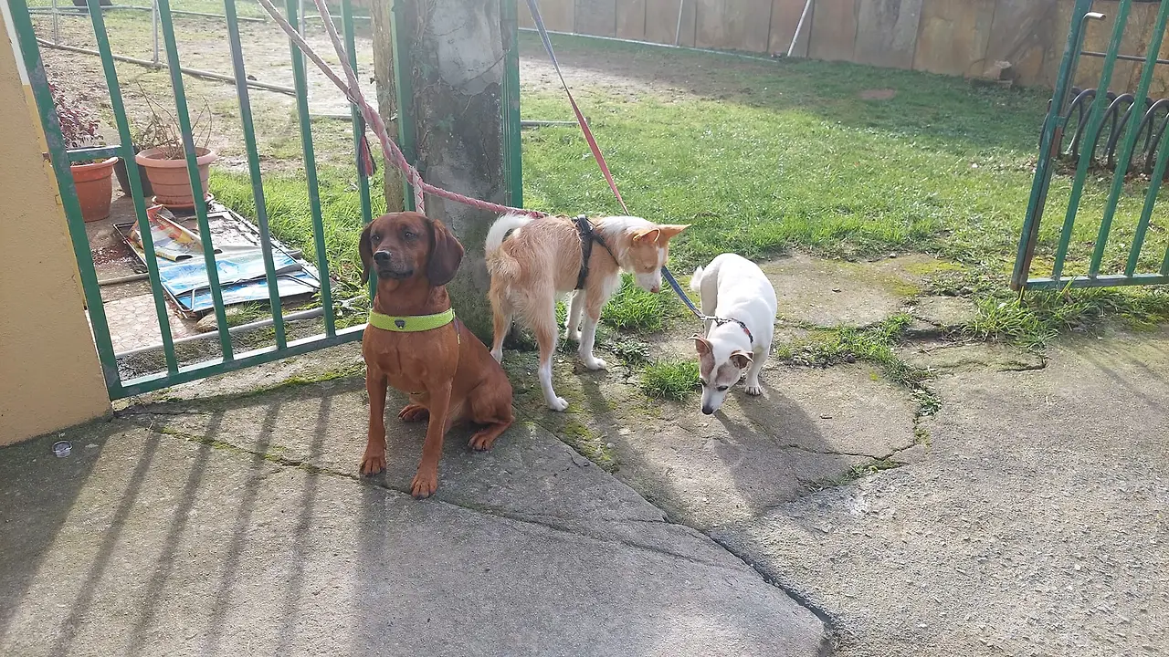 326636477_492658426273174_3341899788087277441_n.jpg?_nc_cat=104&ccb=1-7&_nc_sid=5614bc&_nc_ohc=N-yPJJt46mgAX9rK88H&_nc_ht=scontent-ssn1-1.xx&oh=00_AfBojlpIrbXKXWqmI97W3AMx-JkgexoJYtsw38qxFrVaNA&oe=64F5D98E