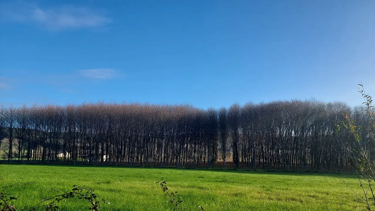 326925636_558581282651924_5053029980255834156_n.jpg?_nc_cat=101&ccb=1-7&_nc_sid=5614bc&_nc_ohc=vMi9ABieLJEAX8x18Zz&_nc_ht=scontent-ssn1-1.xx&oh=00_AfDjYA9Qo0LiOxY5_kx8XBmLQCqLaroBfbE6beFlDhSdTA&oe=64F50306