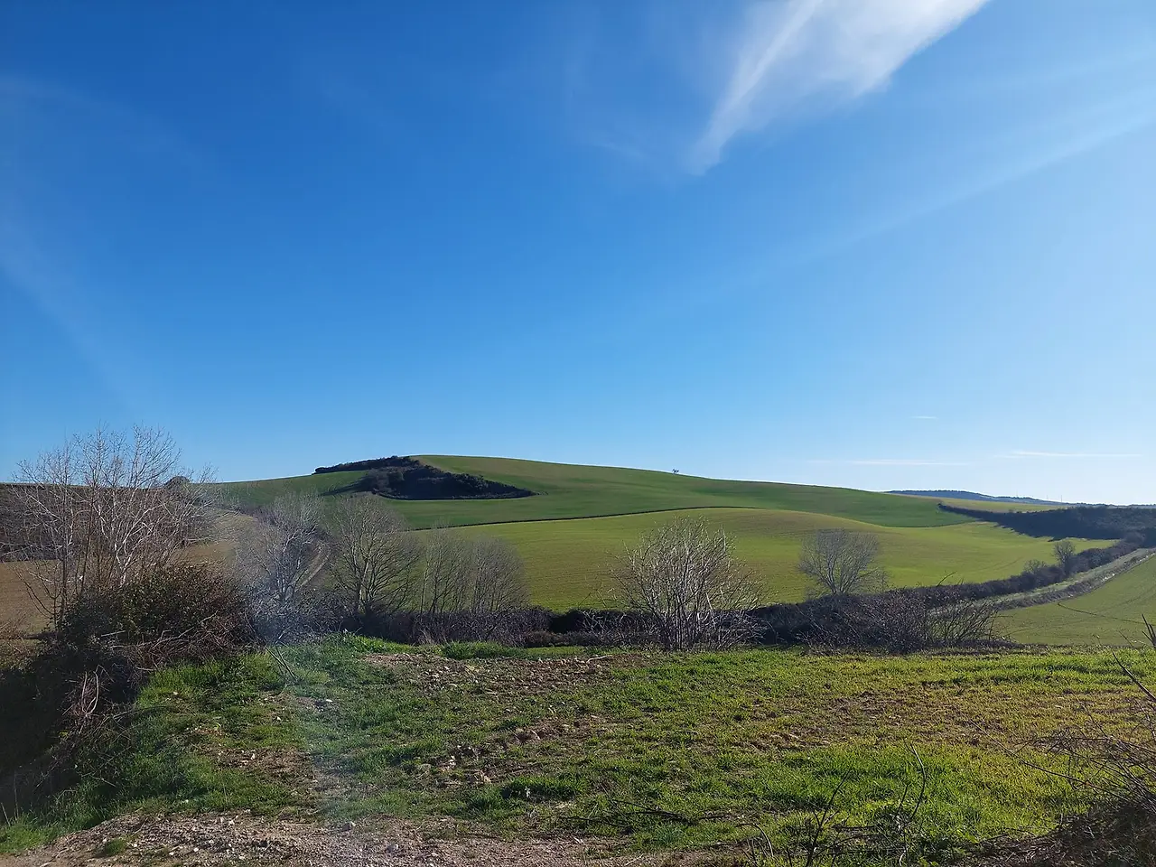 324337912_669925811581867_2926899501207927067_n.jpg?_nc_cat=106&ccb=1-7&_nc_sid=5614bc&_nc_ohc=D1vXjitKPvkAX8IQqp-&_nc_ht=scontent-ssn1-1.xx&oh=00_AfCtLKyXNkSVsHqWkpG5XMYE1LQ6iqW2R-QaKSLAh2c8UQ&oe=64F5E466