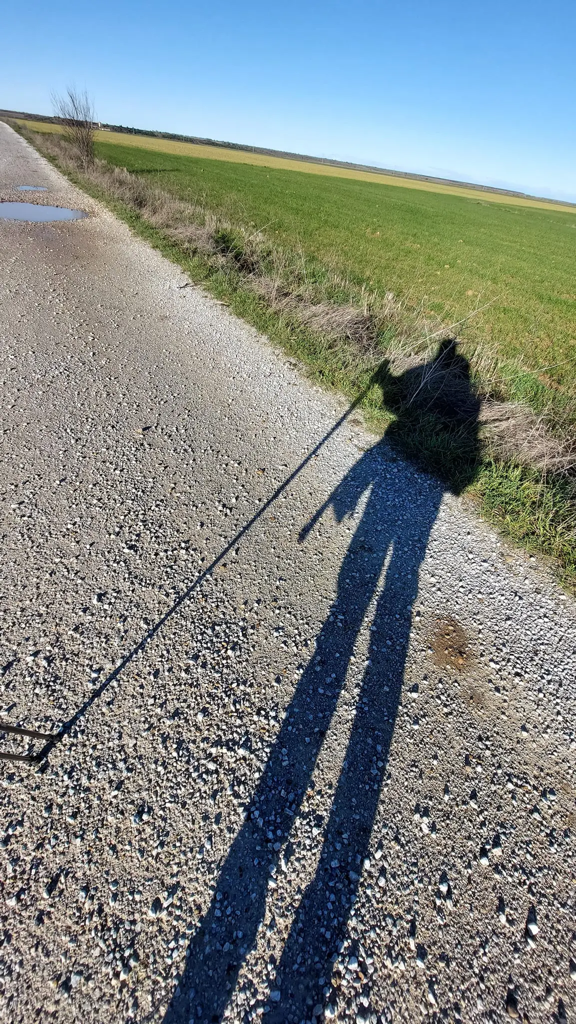 325726997_713160116869994_3698643870922498835_n.jpg?_nc_cat=107&ccb=1-7&_nc_sid=5614bc&_nc_ohc=MFNqwotvVh0AX9Hn0U6&_nc_ht=scontent-ssn1-1.xx&oh=00_AfAvq-q82wvlqcjtRWwcZ5rsa4QLgxAOVdDwVc5hLRr7cg&oe=64F5C6B7