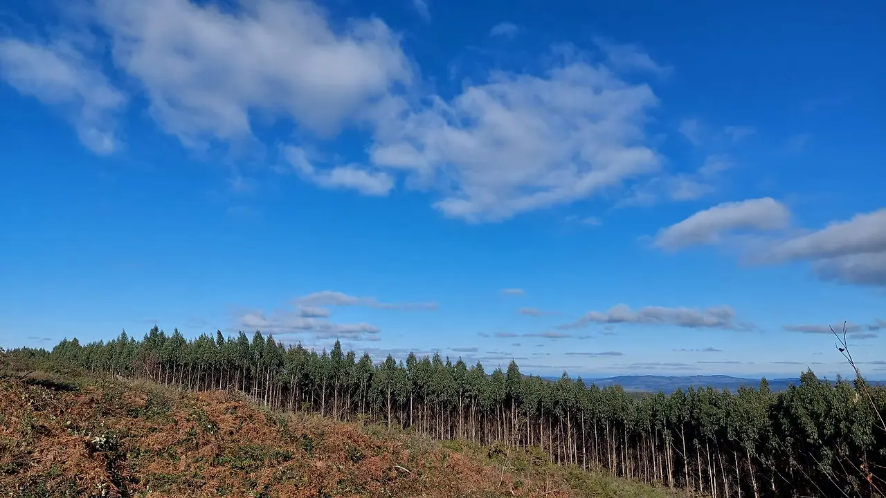 327570330_672159477982477_7907505774562623555_n.jpg?_nc_cat=107&ccb=1-7&_nc_sid=5614bc&_nc_ohc=X0qW8VFzepQAX8fM7HF&_nc_ht=scontent-ssn1-1.xx&oh=00_AfAhZ9vnbXAkF4FKxXZ7Lx2_udX7k_w4hK--sIRpmW2sOA&oe=64F54BBE