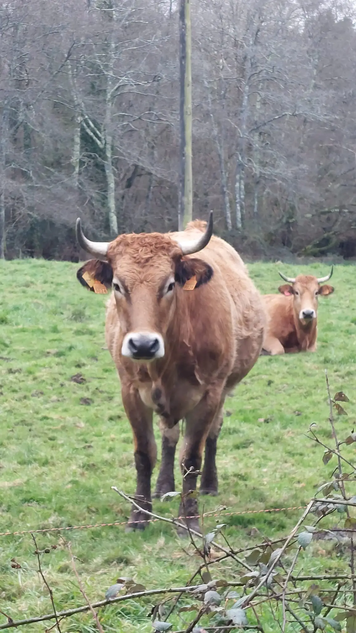 326269339_3383480528568293_1337306777012238242_n.jpg?_nc_cat=111&ccb=1-7&_nc_sid=5614bc&_nc_ohc=nd9OB7DcMlQAX-YxE1t&_nc_ht=scontent-ssn1-1.xx&oh=00_AfBe_3XmlDiHPyG522A-Wcdi8ZJghVGCmfkv1UqwP-adrA&oe=64F4B8D1