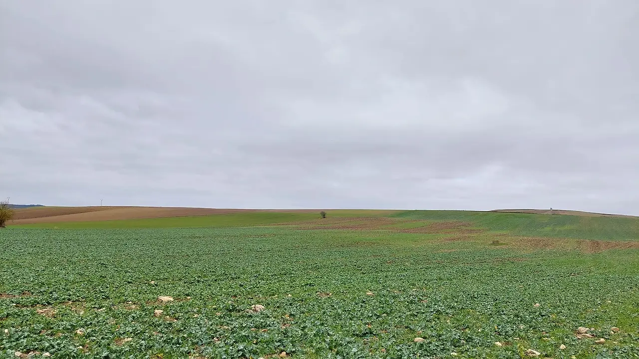 325244542_1224842525119963_1918279172119327098_n.jpg?_nc_cat=111&ccb=1-7&_nc_sid=5614bc&_nc_ohc=3SshTJVn4iUAX-70Bsz&_nc_oc=AQmTglIsKXRWA5B64wGAV0QH6e1Hmhe-WHYr7P2uyFlDjcNQbYU1HKASB1zZcqEY6wY&_nc_ht=scontent-ssn1-1.xx&oh=00_AfCxJ84zKhh8IN3V3DjRq3XsNLlpaoEVhDwUXG7PBBw0sQ&oe=64F56042