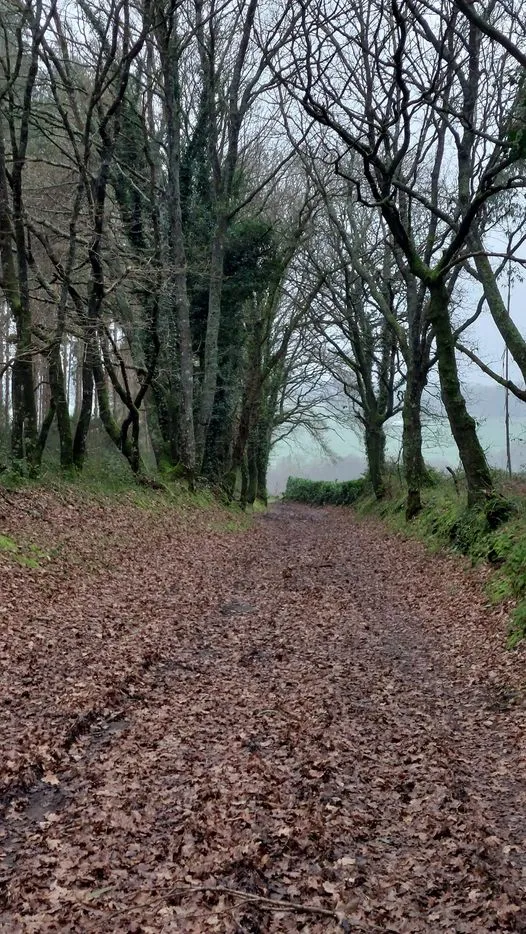 326908247_1169268323961783_1762397360755223438_n.jpg?stp=dst-jpg_p526x296&_nc_cat=107&ccb=1-7&_nc_sid=5614bc&_nc_ohc=OBzctVYfQyEAX_Dq8QB&_nc_ht=scontent-ssn1-1.xx&oh=00_AfCT1yxNaE6WdBU8cIkkhupRCjLu0cy3i2ZECL2ZErdrRg&oe=64F4EEDF