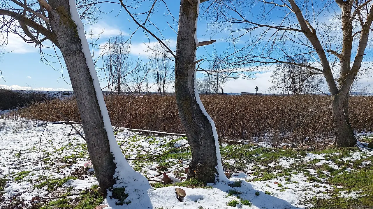 326271603_459490159728427_2022254396288184419_n.jpg?_nc_cat=100&ccb=1-7&_nc_sid=5614bc&_nc_ohc=je6EIKwYE-8AX9bNjD9&_nc_ht=scontent-ssn1-1.xx&oh=00_AfCm-sFzc_rHUTmfH9mTz2EqontlvuS02IBJNZi0YPtsAA&oe=64F576B5