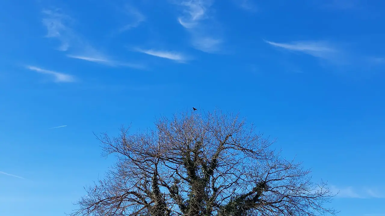 327019409_876461266807375_4628910960946968823_n.jpg?_nc_cat=105&ccb=1-7&_nc_sid=5614bc&_nc_ohc=0LdF_3gpy7YAX-ZDwYz&_nc_ht=scontent-ssn1-1.xx&oh=00_AfDveVKxNy2ea9-CtTKwJNihbW8gVzAHH3Z38Zz3wPv4pA&oe=64F51D50