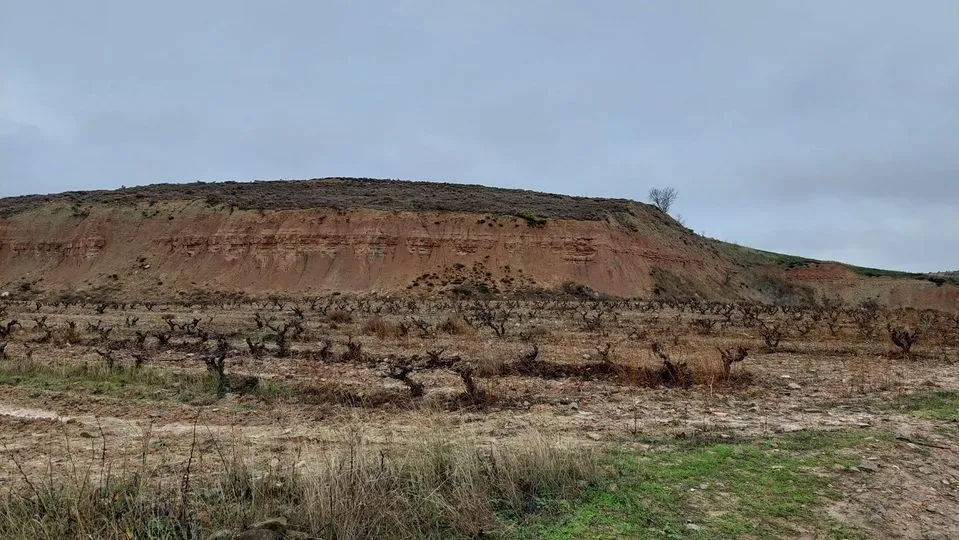 324112514_3046053945687234_1252595998555922020_n.jpg?stp=dst-jpg_p180x540&_nc_cat=105&ccb=1-7&_nc_sid=5614bc&_nc_ohc=qbSCgVjX05IAX8u0Phn&_nc_ht=scontent-ssn1-1.xx&oh=00_AfBvz5jwiaClpmagE_7O6mXXrqZqT3wUWUSR4HCd5cmi7A&oe=64F5EDB8