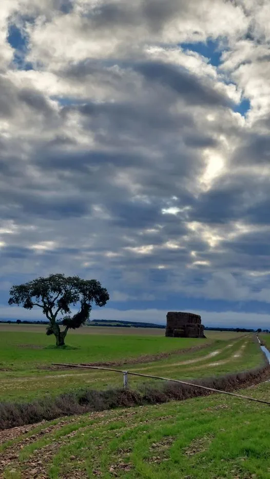 325600263_1209531309681554_1541244657002558615_n.jpg?stp=dst-jpg_p526x296&_nc_cat=103&ccb=1-7&_nc_sid=5614bc&_nc_ohc=T9wsaTg8c2IAX81ehxP&_nc_ht=scontent-ssn1-1.xx&oh=00_AfDdICaBzeuGMl_SNnk1pm1LBfHBv0DVFSR6FWDvk3jhew&oe=64F4F8E2