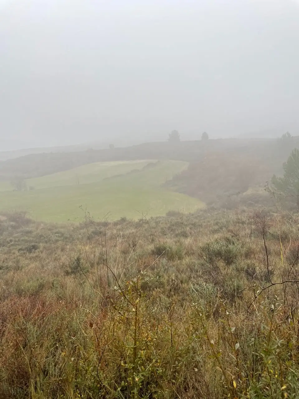 324031007_904841993852928_2382247101854870681_n.jpg?_nc_cat=101&ccb=1-7&_nc_sid=5614bc&_nc_ohc=zEQU8_hpSDoAX8XS-LH&_nc_ht=scontent-ssn1-1.xx&oh=00_AfCC3Y7biswIkPNjZ2E91raEX8_CJOCUWonX4S7kIxy84Q&oe=64F5AC47