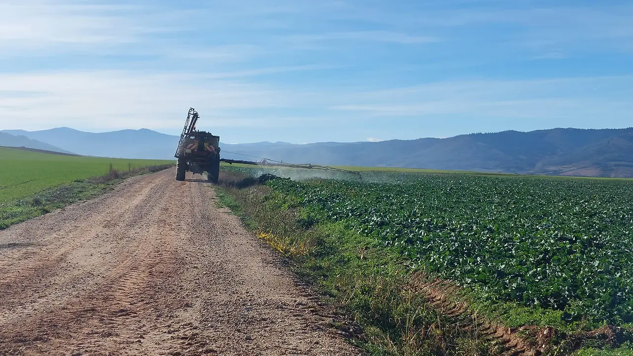 325199504_683056390030124_2280783380897468785_n.jpg?_nc_cat=102&ccb=1-7&_nc_sid=5614bc&_nc_ohc=CCWHg4lgTr8AX8w0_Xw&_nc_ht=scontent-ssn1-1.xx&oh=00_AfD8h1RsdjaSrDiR54NQESNJ2HciC0nOJUijBN-0JF2V7g&oe=64F5D1A8