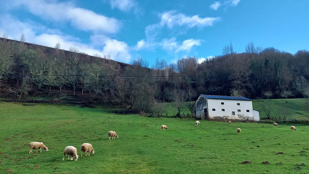 326509988_855160675593627_3562232583206285010_n.jpg?_nc_cat=102&ccb=1-7&_nc_sid=5614bc&_nc_ohc=CsLu8CZsH5EAX8C97Y0&_nc_ht=scontent-ssn1-1.xx&oh=00_AfBQIaKjdagGHuc1rN17tWfOfVqWg02At54idirRN0SJnQ&oe=64F5B934