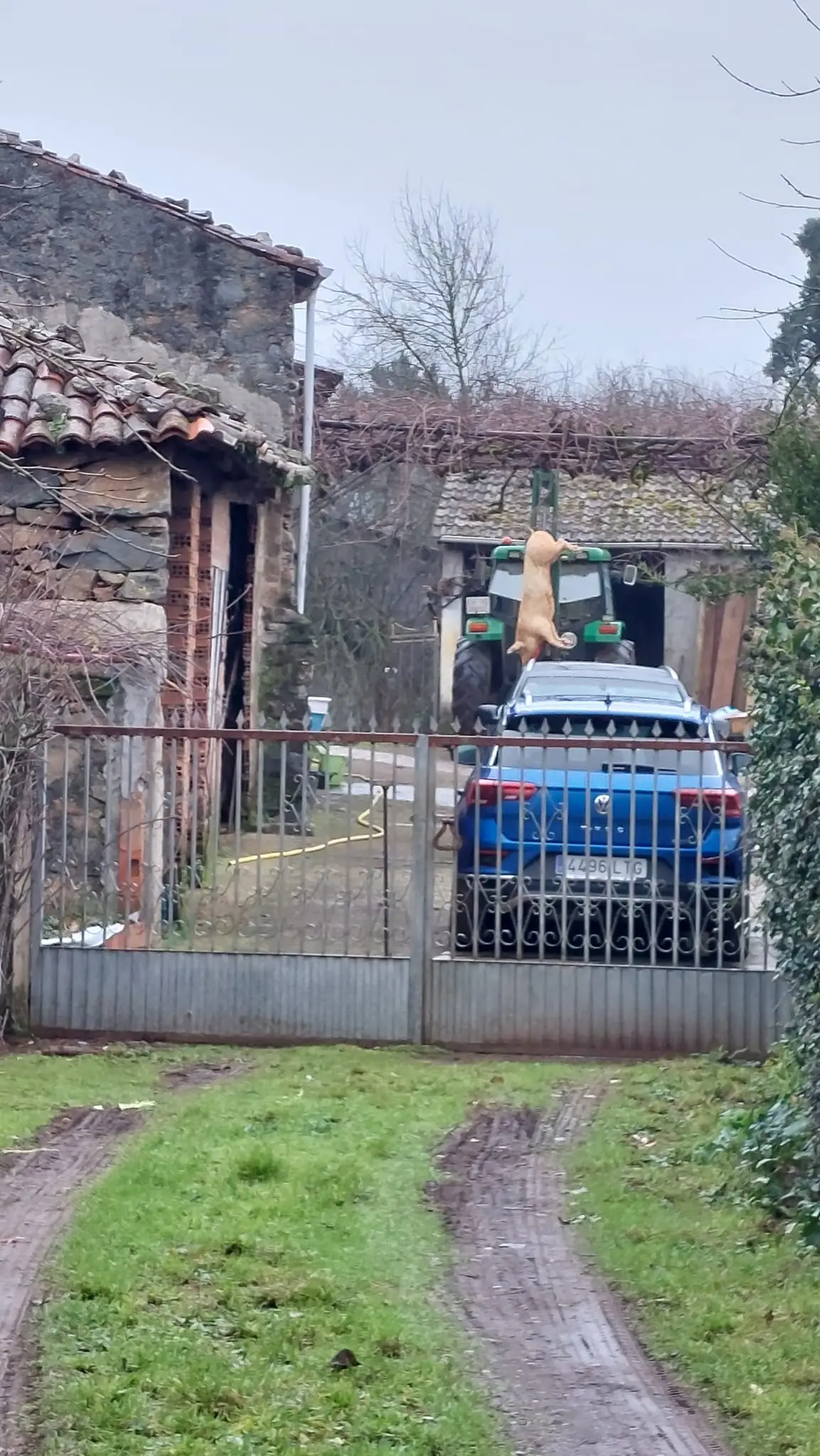 327074301_914670409541861_3428723576718143661_n.jpg?_nc_cat=110&ccb=1-7&_nc_sid=5614bc&_nc_ohc=UOrTAtSdzKgAX_DWrwl&_nc_ht=scontent-ssn1-1.xx&oh=00_AfDTWjYqrTeTthxKc_M4vN9_XAxuI-tXlnwznC8fOjQEGA&oe=64F5798D