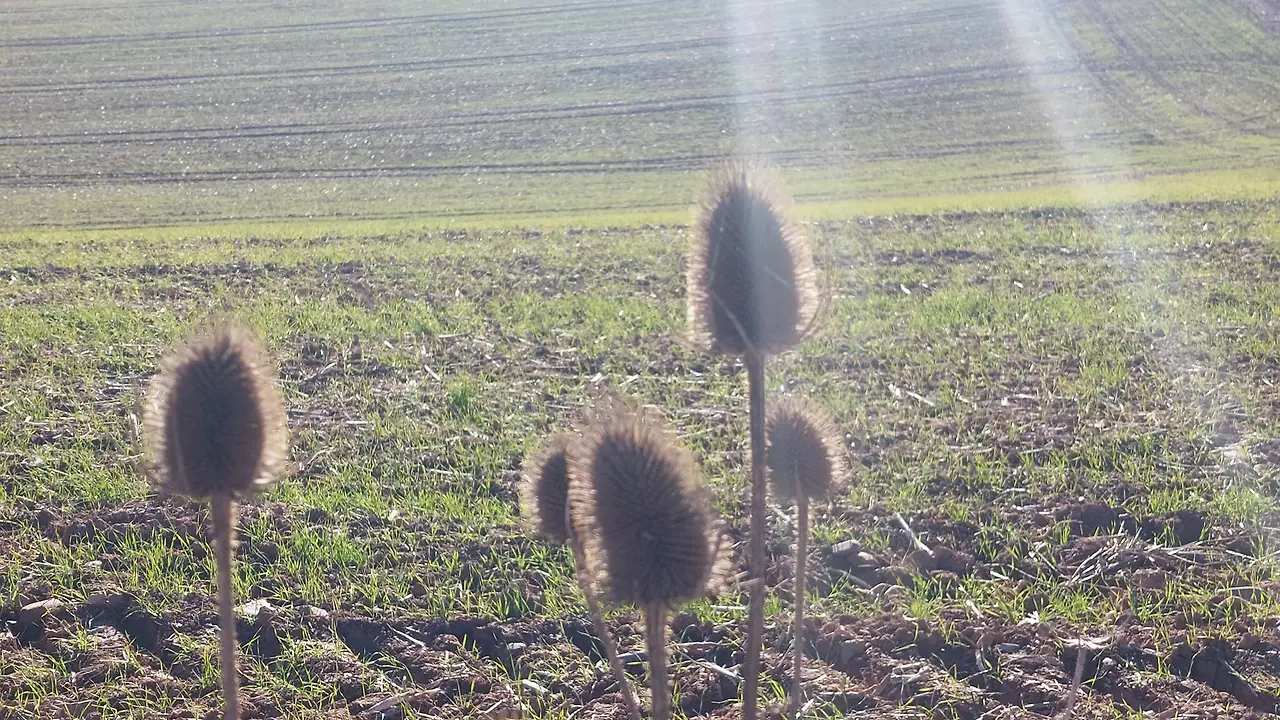 325145748_1432242147518601_8104550909476728460_n.jpg?_nc_cat=102&ccb=1-7&_nc_sid=5614bc&_nc_ohc=Wtv7z6Zq6FEAX-woYE1&_nc_ht=scontent-ssn1-1.xx&oh=00_AfCjtg38hfASSGUQZVfv4Kdpjy5BZrHYSEjs_f1WXyJu6w&oe=64F6069A