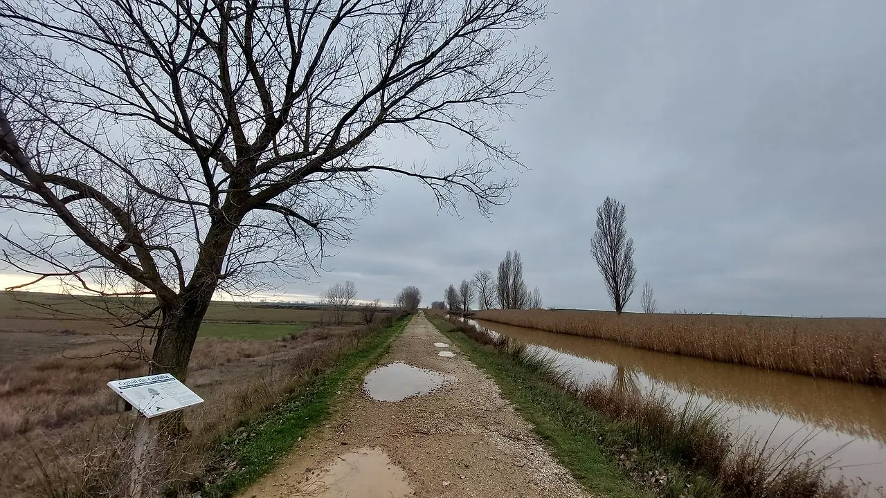 320877490_502862035320420_1031891744196549471_n.jpg?_nc_cat=107&ccb=1-7&_nc_sid=5614bc&_nc_ohc=zjcV9P0Jyy0AX83KgmP&_nc_ht=scontent-ssn1-1.xx&oh=00_AfAUyENcVHEmxT2wGT77rIoY6cT9xQ1tPbO4M7pGynAjfw&oe=64F4FDEF