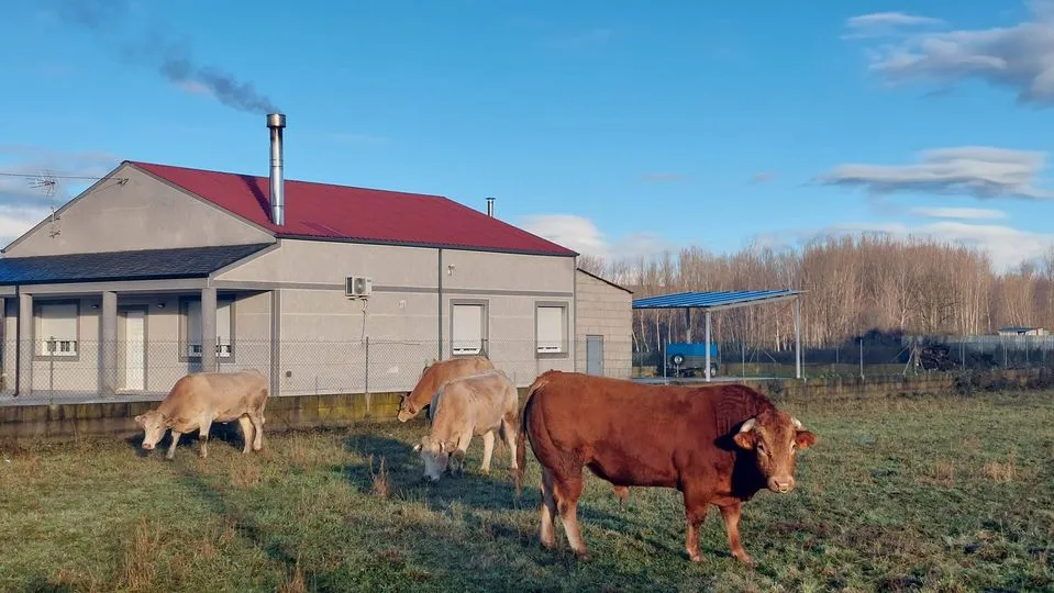 326781743_5756606404453136_7225590239596340284_n.jpg?stp=dst-jpg_p180x540&_nc_cat=103&ccb=1-7&_nc_sid=5614bc&_nc_ohc=piczyYpoM2AAX8dcoSi&_nc_ht=scontent-ssn1-1.xx&oh=00_AfAvvDzg3leDjNvrIqvoW24MHkrI_fi04K87tYt95nwvtg&oe=64F46EC8