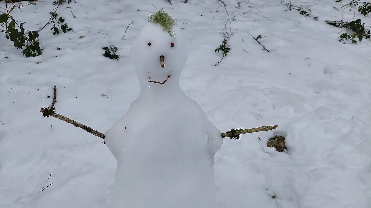 326683298_1376662869738742_6336889492649835207_n.jpg?_nc_cat=105&ccb=1-7&_nc_sid=5614bc&_nc_ohc=OdO8hMwt2FQAX8hvJcI&_nc_ht=scontent-ssn1-1.xx&oh=00_AfBaX5r-Xe7dqELDnOgojgfni6dvmEbsibkLFUiwMYJQfA&oe=64F60413