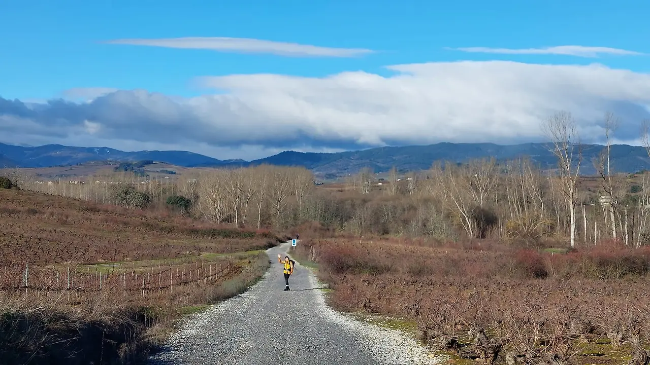 326464953_1209039629695902_8445927891585177083_n.jpg?_nc_cat=105&ccb=1-7&_nc_sid=5614bc&_nc_ohc=CD685R-sx2cAX-o1G-w&_nc_ht=scontent-ssn1-1.xx&oh=00_AfD5NhuSdkbQgFmth-Ek_kfJ8T_bicxeAMpJ77J33yXQhA&oe=64F57F99