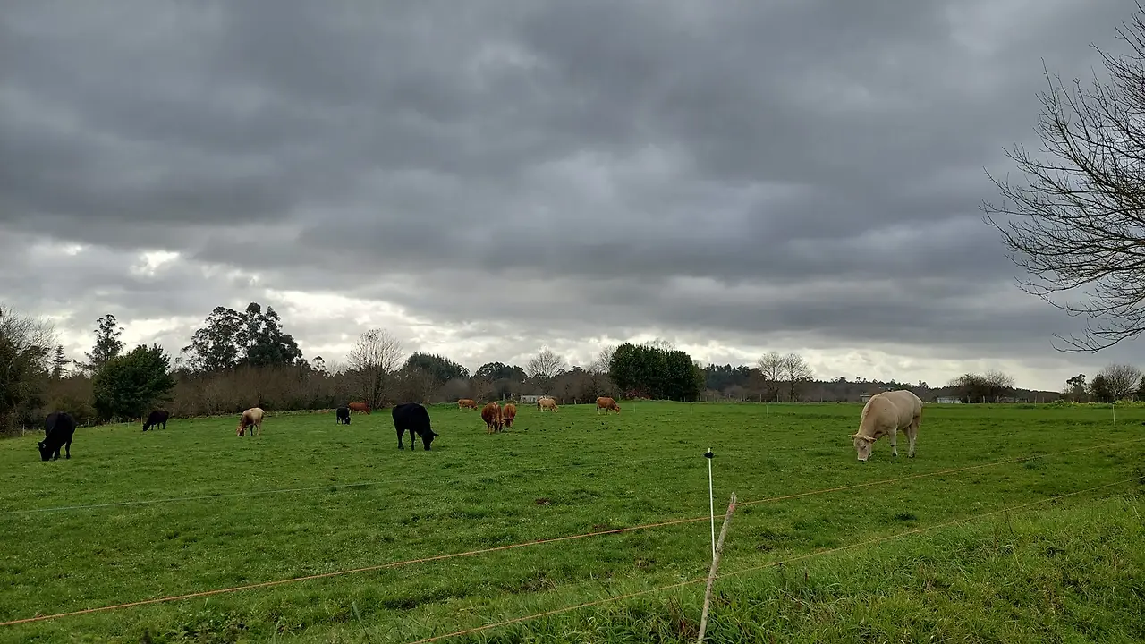 326935113_1370429207111434_6431653739216365068_n.jpg?_nc_cat=110&ccb=1-7&_nc_sid=5614bc&_nc_ohc=RwzJtyF7SBgAX9qv2Bf&_nc_ht=scontent-ssn1-1.xx&oh=00_AfA-9wpkaIj2KAhSdKKJ-5DF53JEPu874OeG5qC-A3vZKw&oe=64F4D7AE