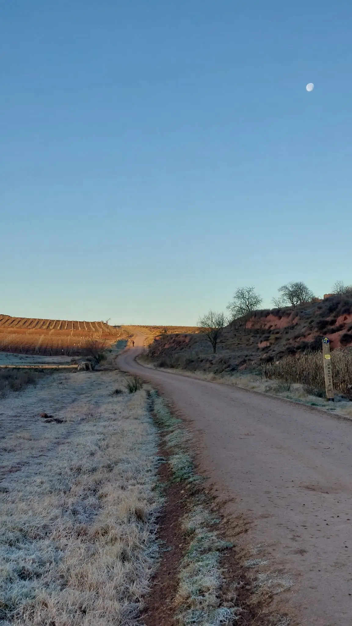 324850050_1231119201109989_8203428493255899531_n.jpg?_nc_cat=106&ccb=1-7&_nc_sid=5614bc&_nc_ohc=ZOaiE9d5eEEAX-jhXHB&_nc_ht=scontent-ssn1-1.xx&oh=00_AfC8Y8nQAqeVSbjYGRyOKJ0hMPbuF5AlbSfu-2YtyzF9TQ&oe=64F55ED4