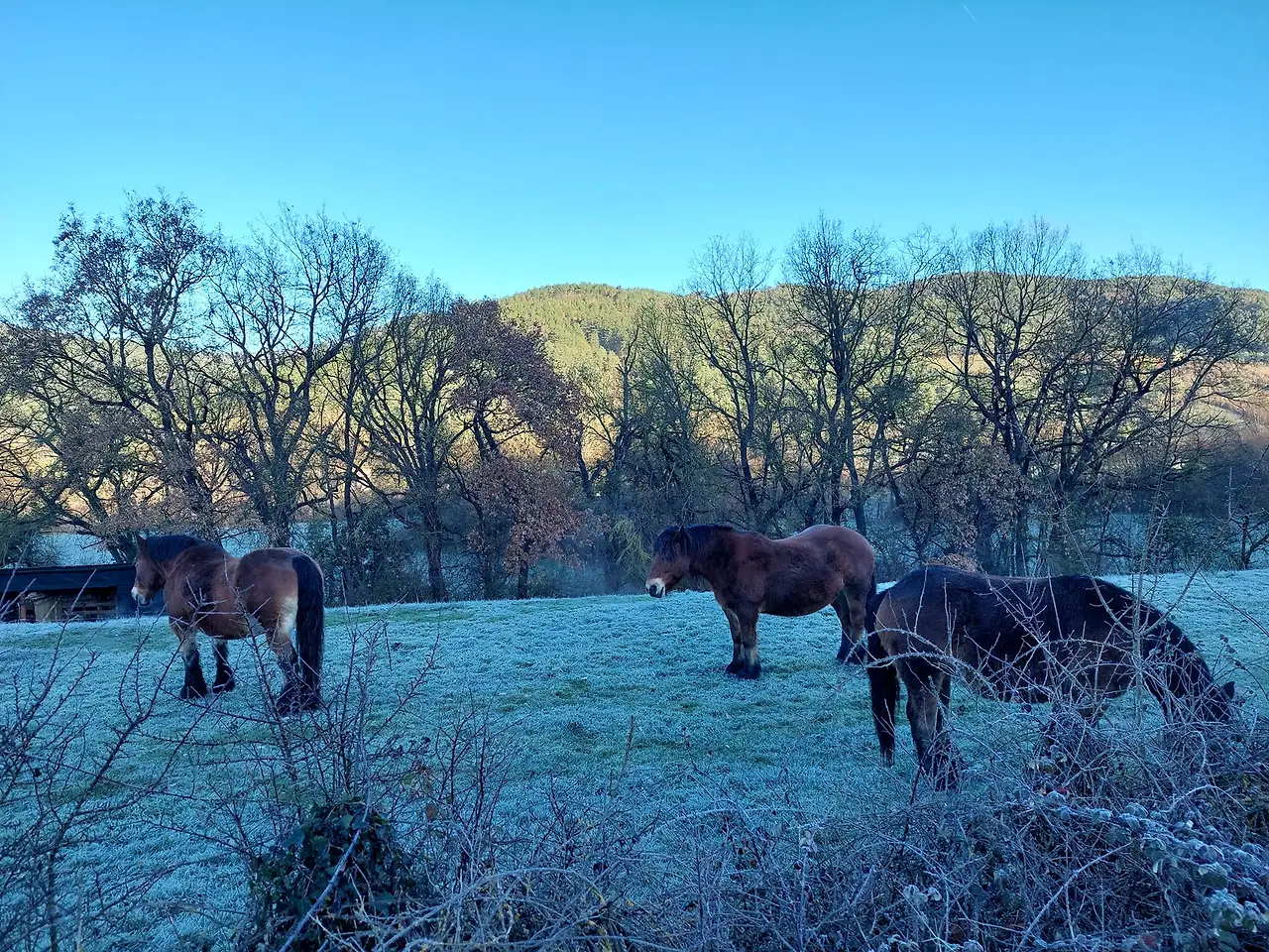 323877624_1281173125764154_554810266642656314_n.jpg?_nc_cat=107&ccb=1-7&_nc_sid=5614bc&_nc_ohc=LXOTNU-PbswAX9lo5mB&_nc_ht=scontent-ssn1-1.xx&oh=00_AfBVBM3RE3lsnO3sboyiSgpVGYM_ky1MgkhDbrb8tLEpLA&oe=64F45B80