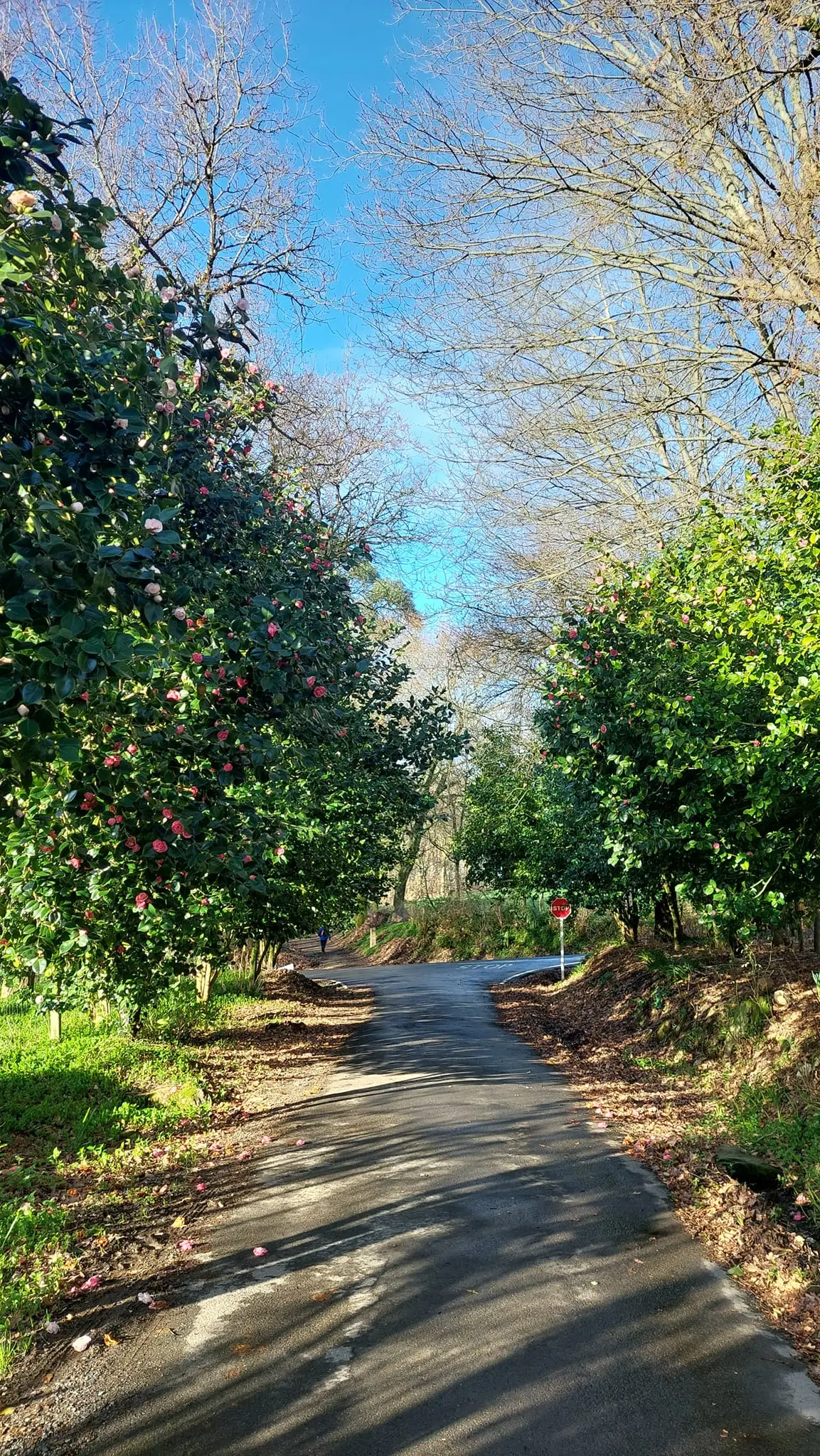 327794403_922278232447393_4492305636343738861_n.jpg?_nc_cat=110&ccb=1-7&_nc_sid=5614bc&_nc_ohc=hJXejK9BTDwAX_aYidw&_nc_ht=scontent-ssn1-1.xx&oh=00_AfCjg7m1KDyntAyPxLynI1b2VEeva0DWkN2sOk9EbNvBfA&oe=64F542FF