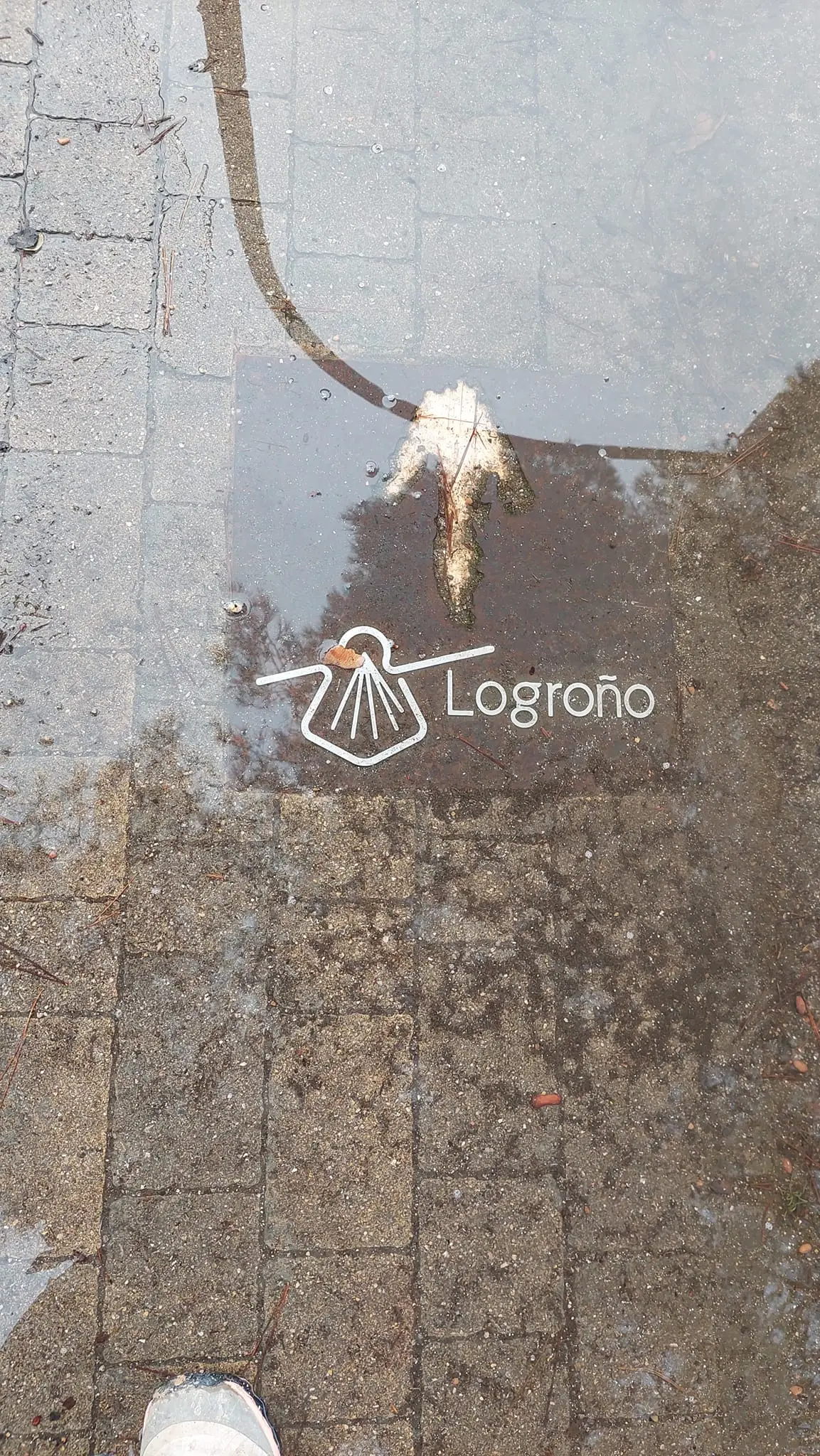 324111843_843453240283834_3084992996496281233_n.jpg?_nc_cat=105&ccb=1-7&_nc_sid=5614bc&_nc_ohc=Yb2DOetJmLYAX-Ndl3U&_nc_ht=scontent-ssn1-1.xx&oh=00_AfCS9bDhiOGvfB3DdPjgN4i5drC-hWxyiHxo42POoV-kDQ&oe=64F53CC8