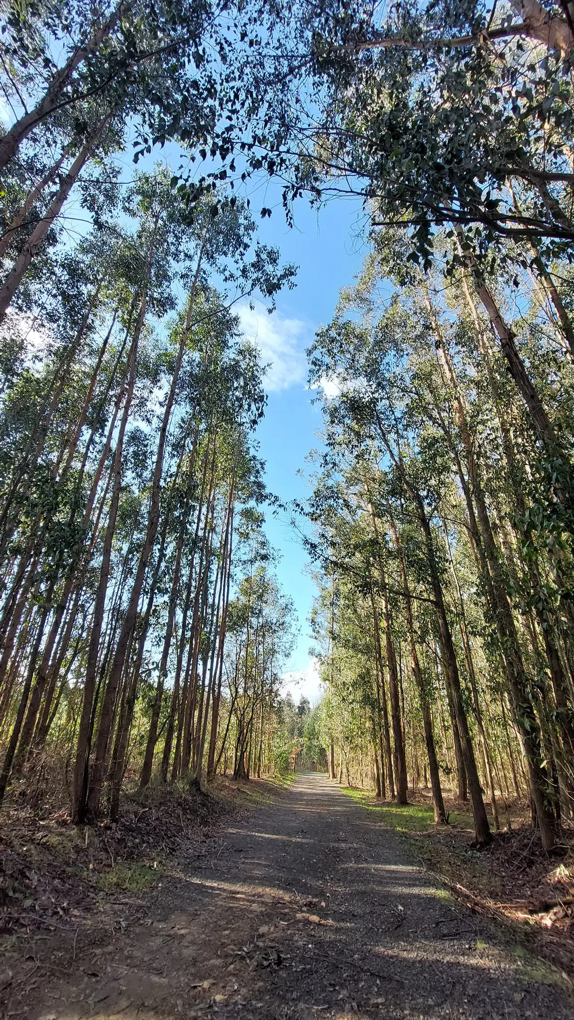 326692338_621284839806494_5421755859507159220_n.jpg?_nc_cat=102&ccb=1-7&_nc_sid=5614bc&_nc_ohc=cdAuebfm5f0AX_EXbrf&_nc_ht=scontent-ssn1-1.xx&oh=00_AfDTd6uSnBVoqPpXJ4qZae-eepAQUGz0gb20QyvieZ7r3A&oe=64F62BEF