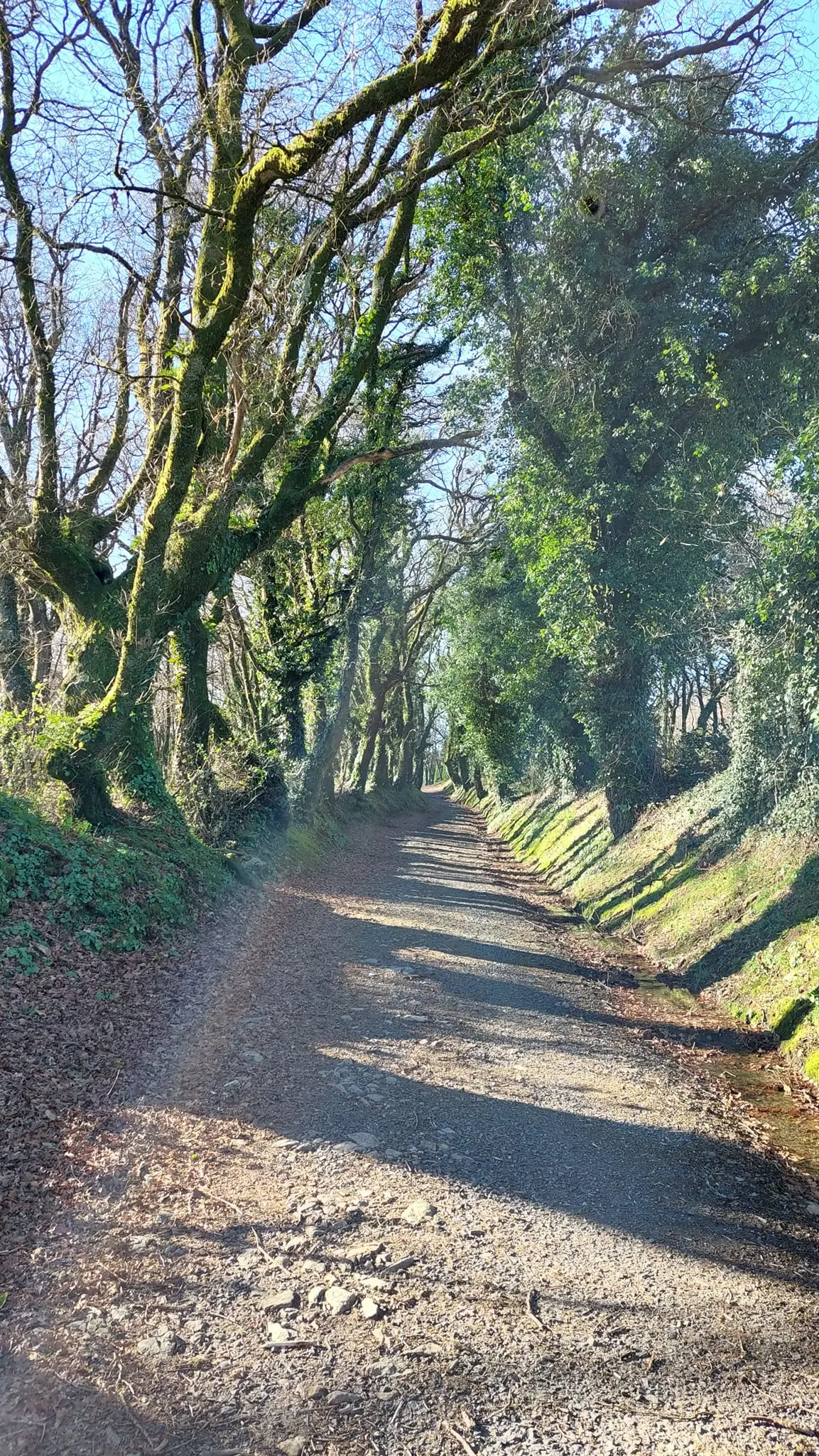 327446015_836329311390054_7580044421196967394_n.jpg?_nc_cat=100&ccb=1-7&_nc_sid=5614bc&_nc_ohc=7_2pJ3QweFsAX9EpBg3&_nc_ht=scontent-ssn1-1.xx&oh=00_AfBwJFxUEP9YrrJrzwfx9ISLzRk0RPJ2cHY7L87JWKsXrw&oe=64F525E7