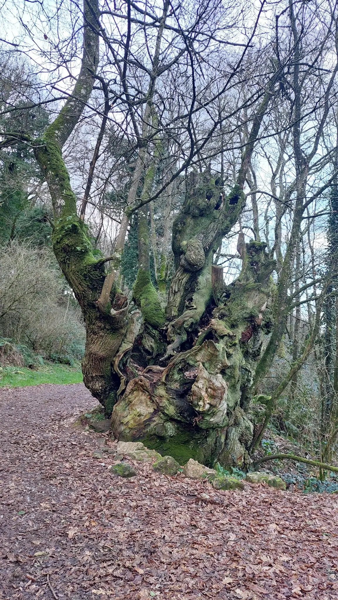 327422534_903784844374963_2985715848917284760_n.jpg?_nc_cat=100&ccb=1-7&_nc_sid=5614bc&_nc_ohc=8V4X9WVECOIAX9s8PBU&_nc_ht=scontent-ssn1-1.xx&oh=00_AfAbdywC8Kl1C-aSUaPEE76oHSt92E1TgUe1BPBsGHIWUQ&oe=64F48A49