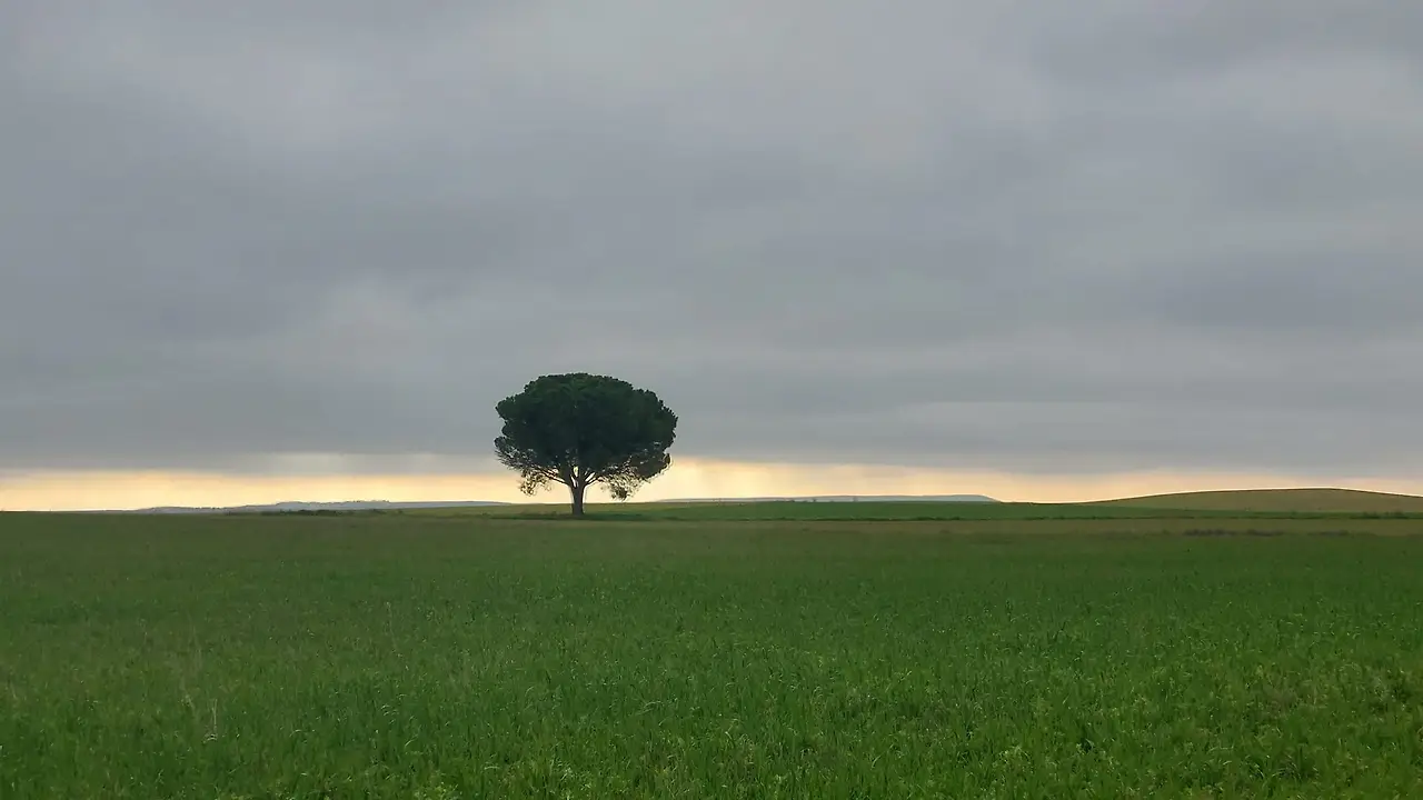 321340538_579538686850120_6947249421066086504_n.jpg?_nc_cat=108&ccb=1-7&_nc_sid=5614bc&_nc_ohc=IhyvhCmT3nEAX-Fsjzq&_nc_ht=scontent-ssn1-1.xx&oh=00_AfCvFadwhDWVKEM11aUO-doxk5kdktuSZ0Bv_dQiyCDC9w&oe=64F5628E