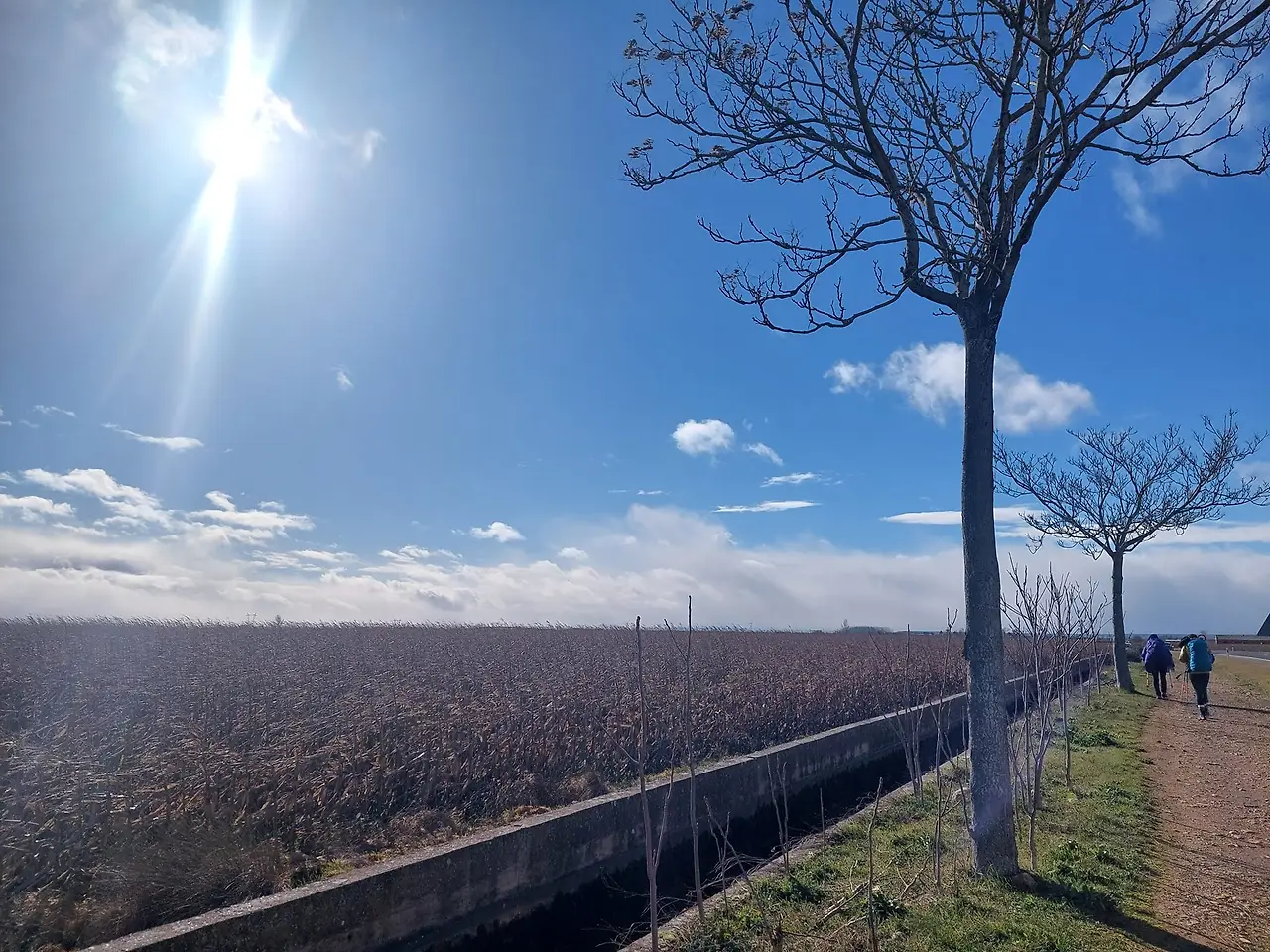 325774373_916553839513807_2942441544007665974_n.jpg?_nc_cat=110&ccb=1-7&_nc_sid=5614bc&_nc_ohc=13DFifBffBcAX_qhVID&_nc_ht=scontent-ssn1-1.xx&oh=00_AfANihyxiR5sxpp1joAxk4Vdsra6htkUglD8X1nUMe8Tug&oe=64F44D49