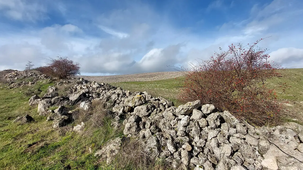 325352297_5928920590537665_7958074229188423475_n.jpg?_nc_cat=109&ccb=1-7&_nc_sid=5614bc&_nc_ohc=lSu8fcXSaIQAX8rvQ8L&_nc_ht=scontent-ssn1-1.xx&oh=00_AfCU39ZIiTCoC7XMXFhTss84UkIzQc0dISBgt3T-5RqToA&oe=64F444B7