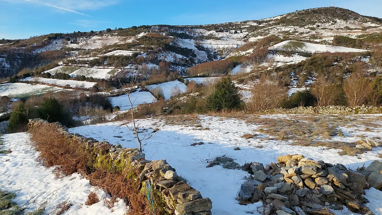 326966155_683125253597551_4508168989804931223_n.jpg?_nc_cat=111&ccb=1-7&_nc_sid=5614bc&_nc_ohc=mcR5Lpo19YQAX_BmBqz&_nc_ht=scontent-ssn1-1.xx&oh=00_AfDwD9m9tkpFKRmyfYH6AqAsipfviyC6U4DNMTXVNKuv-w&oe=64F579C0