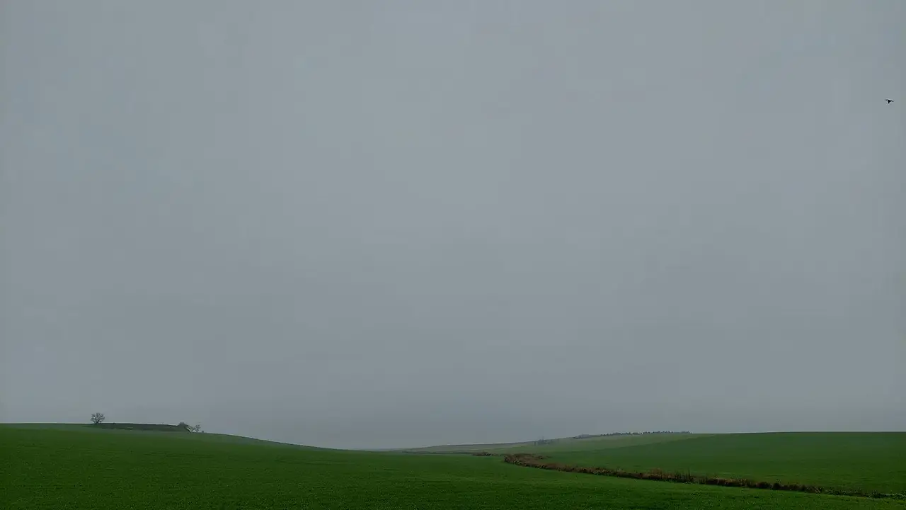 325439599_580478430116035_575240174071551230_n.jpg?_nc_cat=107&ccb=1-7&_nc_sid=5614bc&_nc_ohc=-_Ij6lfq-QkAX9j6Rdr&_nc_ht=scontent-ssn1-1.xx&oh=00_AfD15jbea3eBELsPZ1FhLi582DChfvpHTEHuSBmNIYekOg&oe=64F5357A