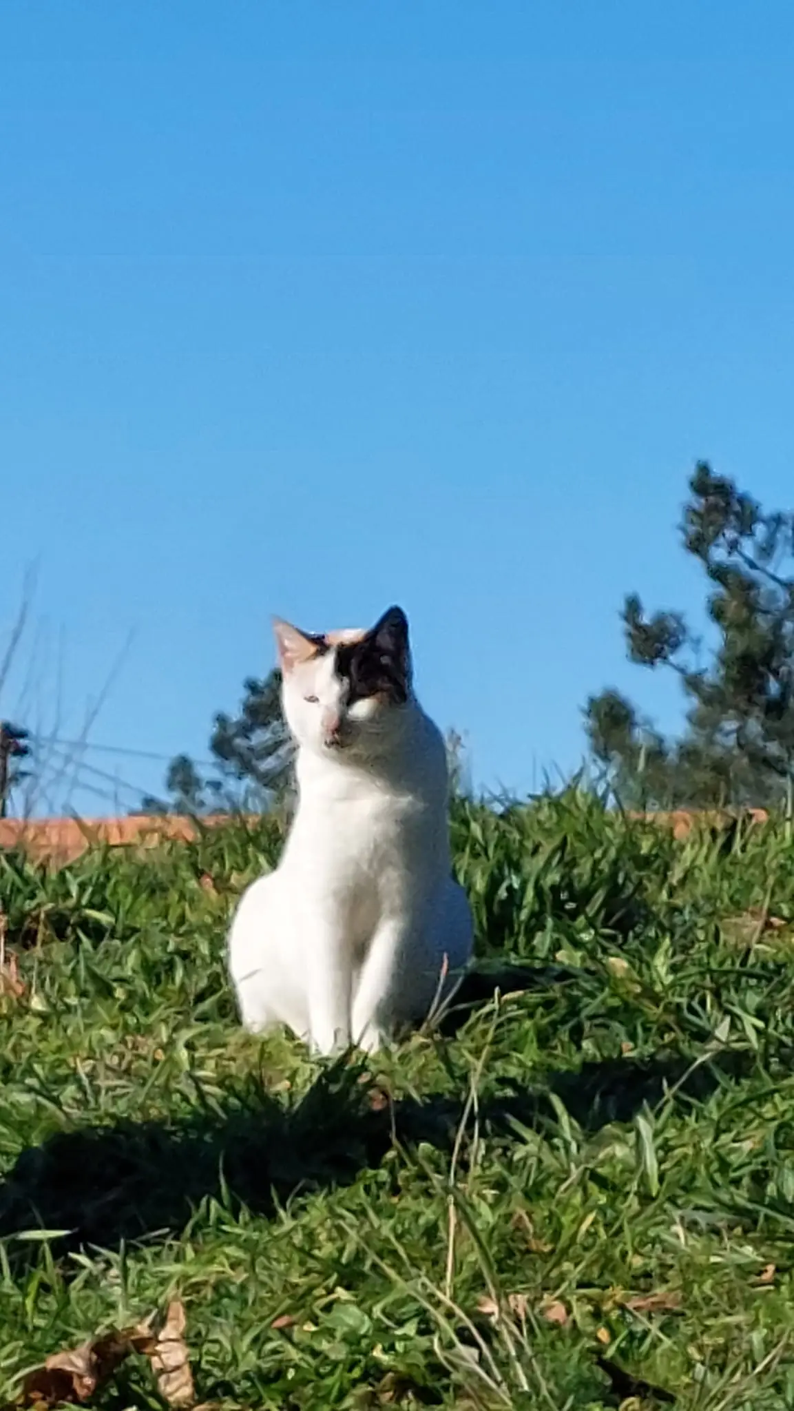 327555168_1649774035480551_4561334218068478418_n.jpg?_nc_cat=101&ccb=1-7&_nc_sid=5614bc&_nc_ohc=zH2Jk183q50AX-M_3rP&_nc_ht=scontent-ssn1-1.xx&oh=00_AfCQnGWSDa2FVu_gxqaMV6lXBLTzPEaiTE7DNAiZC3gdnw&oe=64F5109D