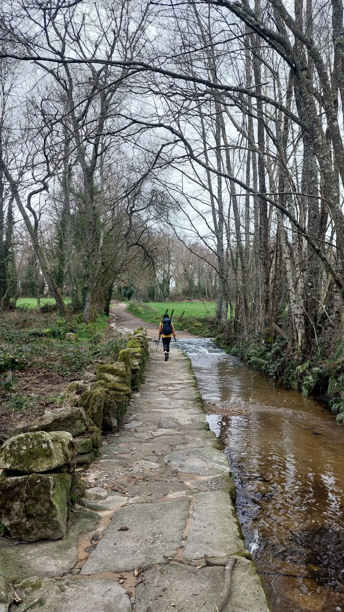 326357750_564703612227421_453211192053658342_n.jpg?_nc_cat=101&ccb=1-7&_nc_sid=5614bc&_nc_ohc=8jNbx2_dTKoAX_a-4Ix&_nc_ht=scontent-ssn1-1.xx&oh=00_AfB69qscqMaNq0y-8HZQSkI9Qcppmm5cViJU1SivJaEB3A&oe=64F631A8