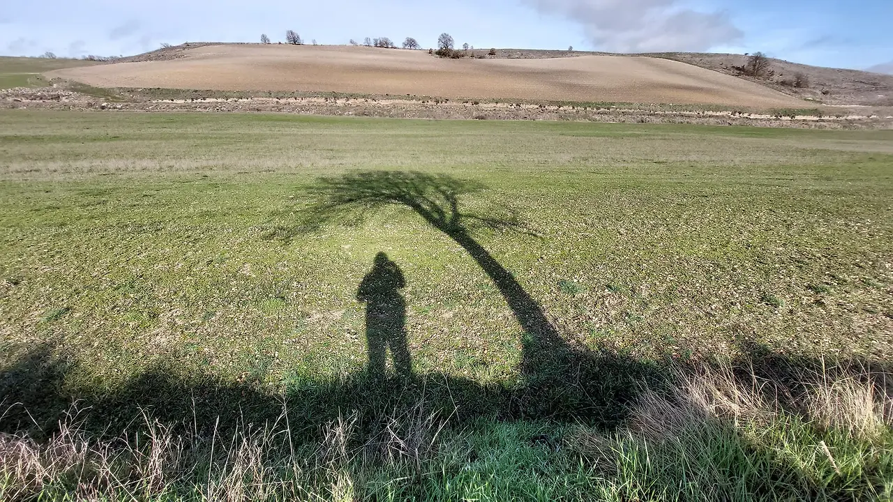 325348897_489133823167650_3665378876089618678_n.jpg?_nc_cat=104&ccb=1-7&_nc_sid=5614bc&_nc_ohc=aVSNCGGRdy0AX_iDecz&_nc_ht=scontent-ssn1-1.xx&oh=00_AfBUILn0p6Ua7YcTfCA-uYgjz9HAImKcyVQ4H2WIW_0n3g&oe=64F62453